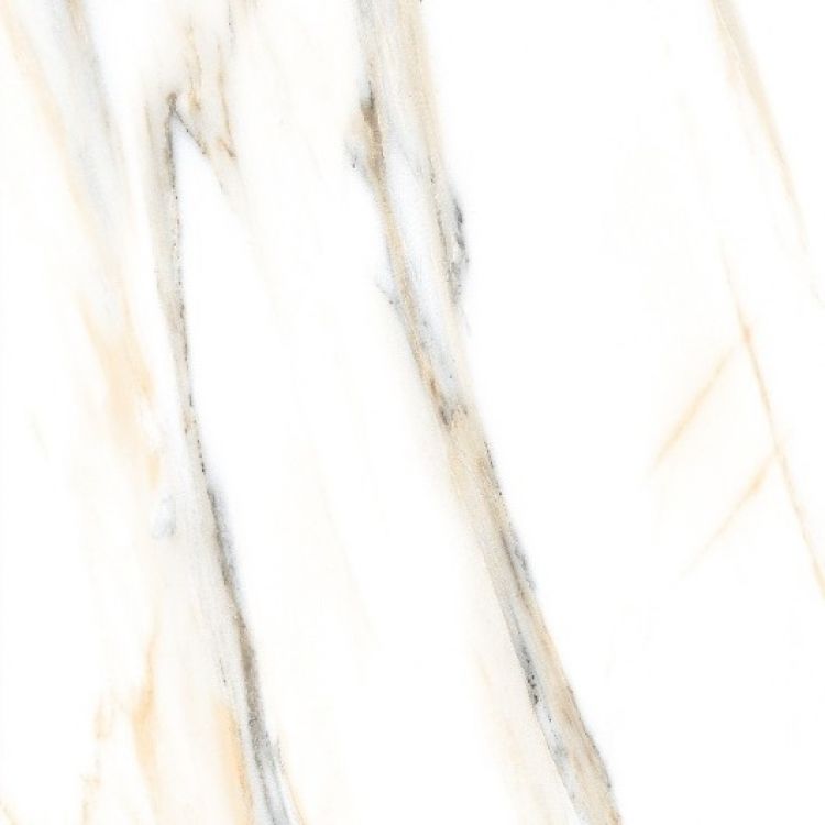 AGL Calacatta Gold Matte 24 x 24